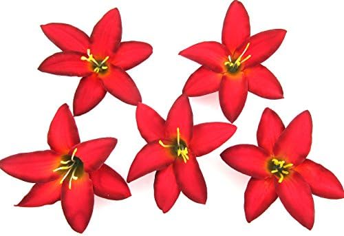3.5 Kırmızı Zambak 5 Parça Lot İpek Çiçek Saç Klipleri
