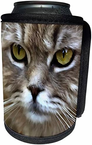 3dRose Çarpıcı Gri Kedi Pet Sanatsal Portre-Can Soğutucu Şişe Sarma (cc-362616-1)